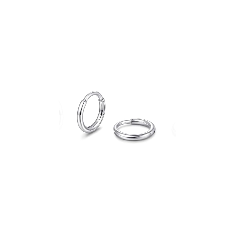 Limerencia Titanium Hoop Earrings for Women Men, Minimalist Small Hoops
