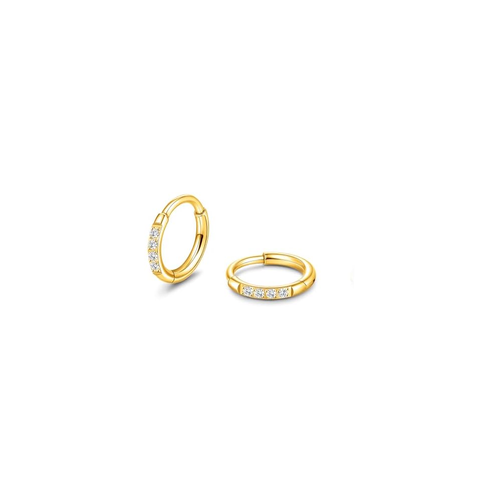 Limerencia Titanium Hoop Earrings for Women Men, Minimalist Small Hoops