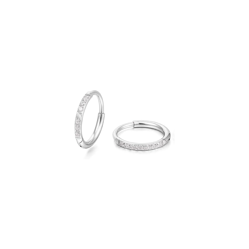 Limerencia Titanium Hoop Earrings for Women Men, Minimalist Small Hoops