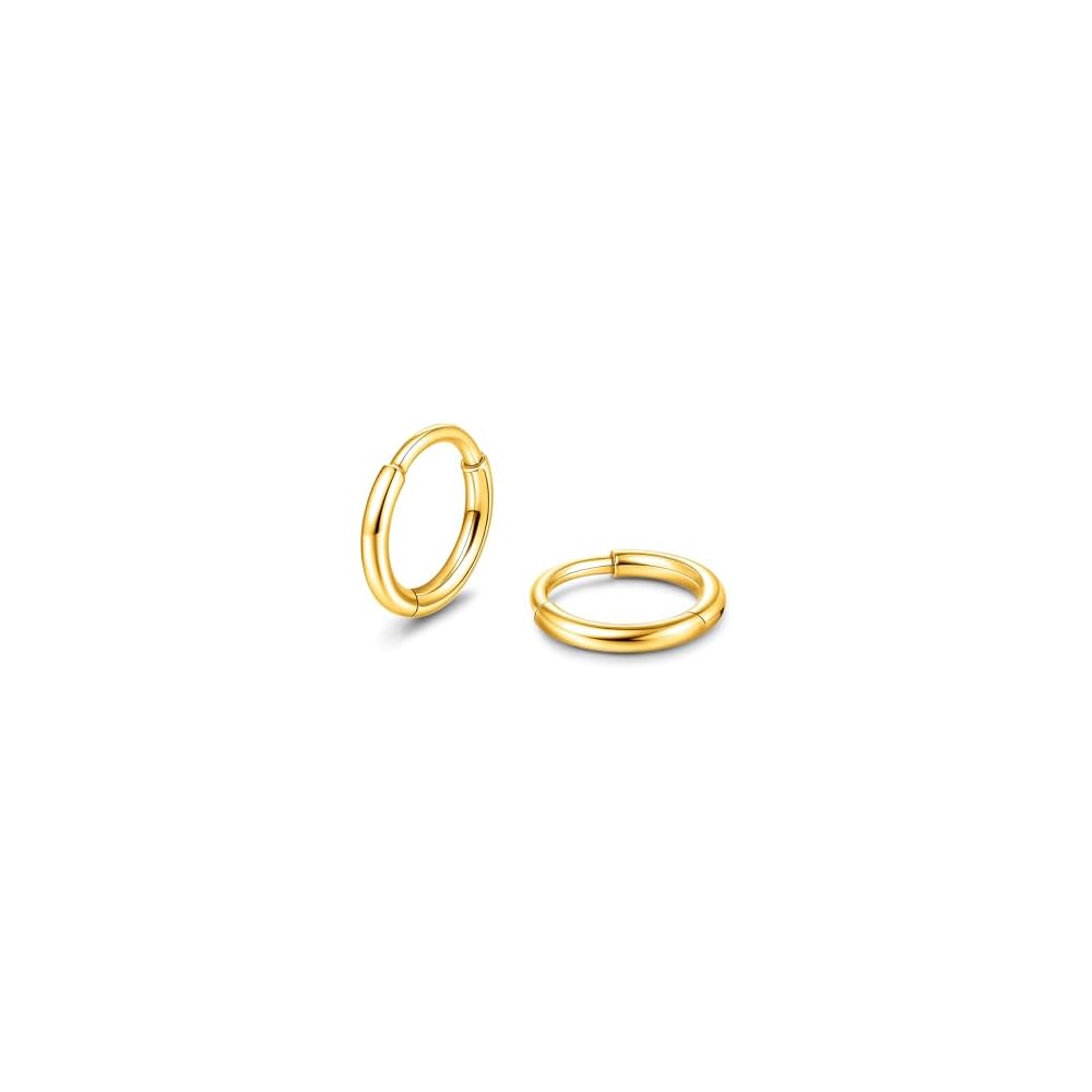 Limerencia Titanium Hoop Earrings for Women Men, Minimalist Small Hoops