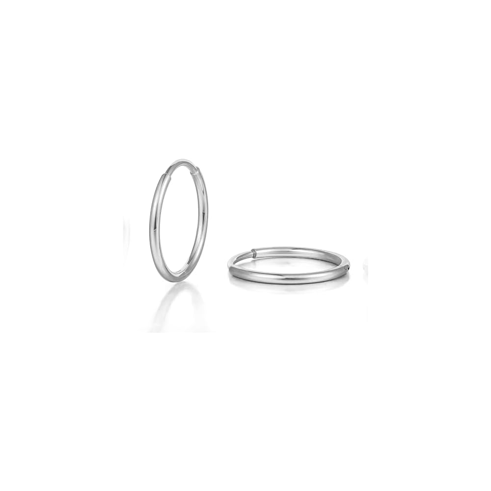 Limerencia Titanium Hoop Earrings for Women Men, Minimalist Small Hoops